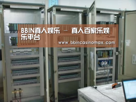 BBIN登录案例展示五