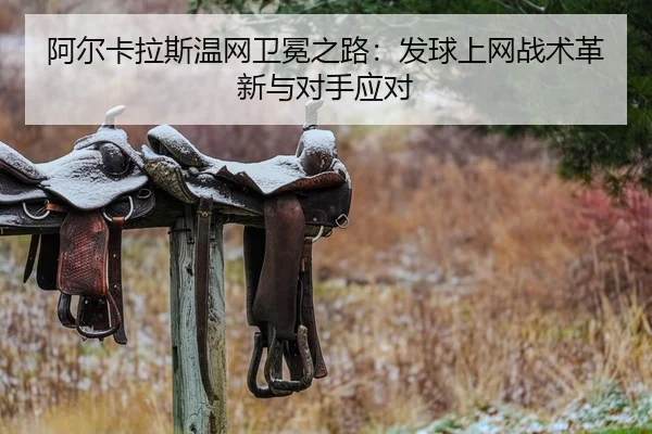 a-er-ka-la-si-wen-wang-wei-mian-zhi-lu-fa-qiu-shang-wang-zhan-shu-ge-xin-yu-dui-shou-ying-dui-2-233.jpg