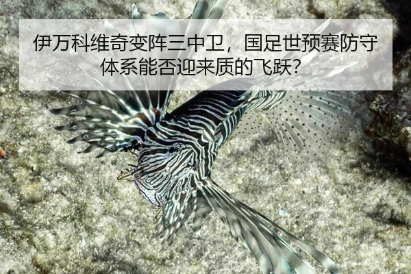 yi-wan-ke-wei-qi-bian-zhen-san-zhong-wei-guo-zu-shi-yu-sai-fang-shou-ti-xi-neng-fou-ying-lai-zhi-di-fei-yue-3-315.jpg