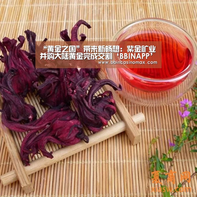 BBIN登录