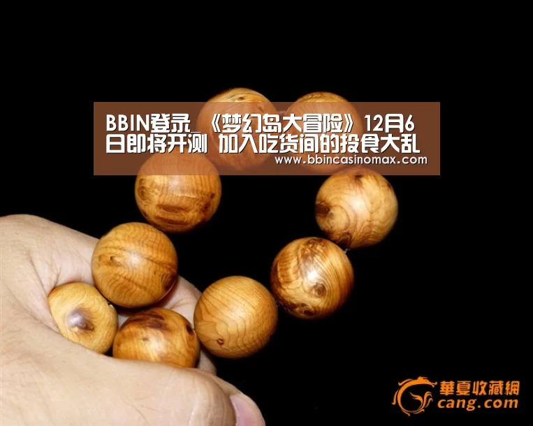 BBIN登录_《梦幻岛大冒险》12月6日即将开测 加入吃货间的投食大乱斗吧！(图1)