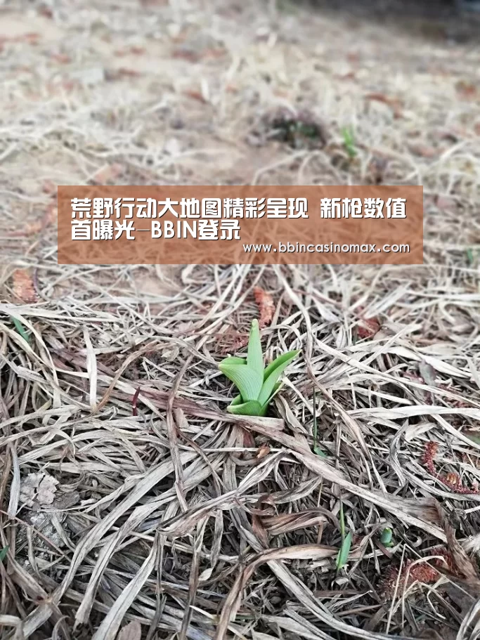 荒野行动大地图精彩呈现 新枪数值首曝光-BBIN登录(图3) 荒野行动大地图精彩呈现 新枪数值首曝光-BBIN登录(图3)